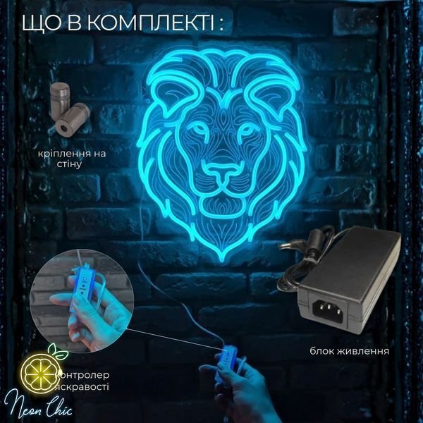 Неоновая вывеска Ведьма&raquo; в стиле Disney Мультиколор 65&times;54 см відьма фото