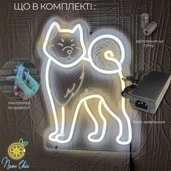 Настінний неоновий світильник Песик Акіта-іну 28х36см Білий/Теплий білий акіта-іну.світ фото
