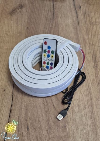 Готовий комплект RGB Smart LED Neon 5 м USB з пультом та кріпленням  прям.неонкомпл. фото